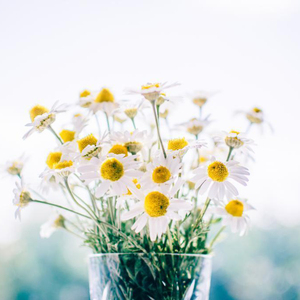 无码人妻一区二区三区精品视频
